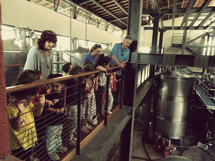tourists on the corridor between storage tanks on the top of these at Domaine Papagiannakos plant